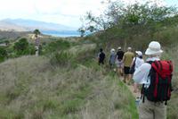 Insel Rinca, Komodo-Nationalpark