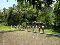 Tempel Goa Gajah