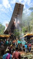 067 Sulawesi - Fest in Batan &ndash; &copy; Michael Krause (Eberhardt TRAVEL)