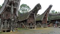 118 Sulawesi - Clanhäuser stwehen sich gegenüber.