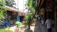167 Yogjakarta, Vogelmarkt