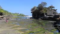 265 Abschied vom Tanah Lot &ndash; &copy; Michael Krause (Eberhardt TRAVEL)