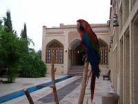 Hotelanlage Moshir ol Mamalek Garden in Yazd &ndash; &copy; Dirk Schlosser (Eberhardt TRAVEL)