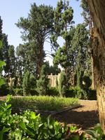 Kashan - Fin-Garten &ndash; &copy; Isabel Braksiek (Eberhardt TRAVEL)
