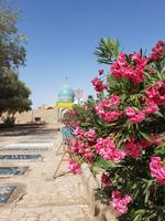 0801_ Shadad &ndash; &copy; Jörg Nesse (Eberhardt TRAVEL)