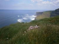 Cliffs of Moher &ndash; &copy; Barbara Pflicke (Eberhardt TRAVEL)