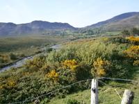 Connemara &ndash; &copy; Barbara Pflicke (Eberhardt TRAVEL)