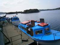 in Glengarriff &ndash; &copy; Barbara Pflicke (Eberhardt TRAVEL)