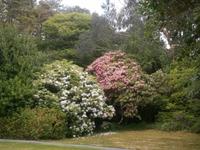 auf Garnish Island &ndash; &copy; Barbara Pflicke (Eberhardt TRAVEL)