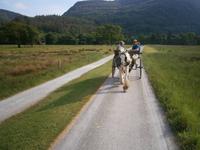 im Muckross Garden &ndash; &copy; Barbara Pflicke (Eberhardt TRAVEL)