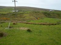 Ceide Fields