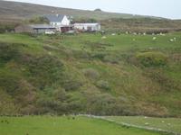 Ceide Fields &ndash; &copy; Barbara Pflicke (Eberhardt TRAVEL)