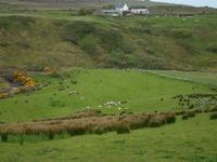 Ceide Fields &ndash; &copy; Barbara Pflicke (Eberhardt TRAVEL)