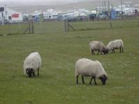 in Keel &ndash; &copy; Barbara Pflicke (Eberhardt TRAVEL)
