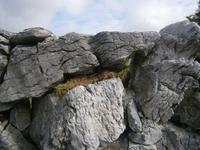 Burren &ndash; &copy; Barbara Pflicke (Eberhardt TRAVEL)