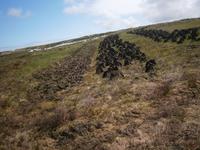 Torf &ndash; &copy; Barbara Pflicke (Eberhardt TRAVEL)