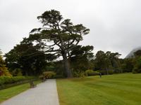 Muckross Park &ndash; &copy; Barbara Pflicke (Eberhardt TRAVEL)