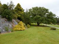 Muckross Park &ndash; &copy; Barbara Pflicke (Eberhardt TRAVEL)
