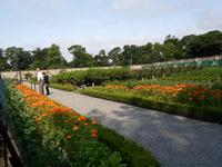 Kitchen Garden in Dublin &ndash; &copy; Barbara Pflicke (Eberhardt TRAVEL)