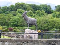 Killorglin &ndash; &copy; Dirk Schlosser (Eberhardt TRAVEL)