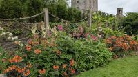 Blarney Castle &ndash; &copy; Walter Neuwirth (Eberhardt TRAVEL)