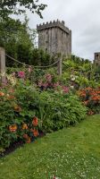 Blarney Castle &ndash; &copy; Walter Neuwirth (Eberhardt TRAVEL)