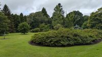 Blarney Castle &ndash; &copy; Walter Neuwirth (Eberhardt TRAVEL)