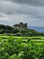 Rock of Cashel &ndash; &copy; Walter Neuwirth (Eberhardt TRAVEL)