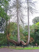 irische Pflanzenwelt &ndash; &copy; Walter Neuwirth (Eberhardt TRAVEL)