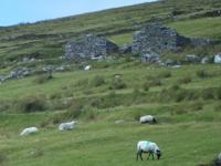 Deserted Village &ndash; &copy; Barbara Pflicke (Eberhardt TRAVEL)
