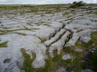 Burren &ndash; &copy; Barbara Pflicke (Eberhardt TRAVEL)