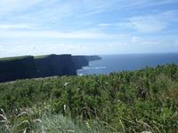 Cliffs of Moher &ndash; &copy; Barbara Pflicke (Eberhardt TRAVEL)