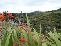 Ring of Kerry &ndash; &copy; Barbara Pflicke (Eberhardt TRAVEL)