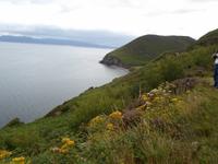 Dingle Bay &ndash; &copy; Barbara Pflicke (Eberhardt TRAVEL)