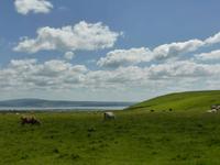 Cliffs of Moher &ndash; &copy; Dirk Schlosser (Eberhardt TRAVEL)