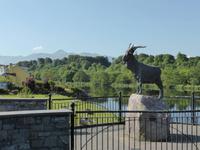 King Puck  &ndash; &copy; Dirk Schlosser (Eberhardt TRAVEL)