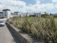 Waterville &ndash; &copy; Dirk Schlosser (Eberhardt TRAVEL)
