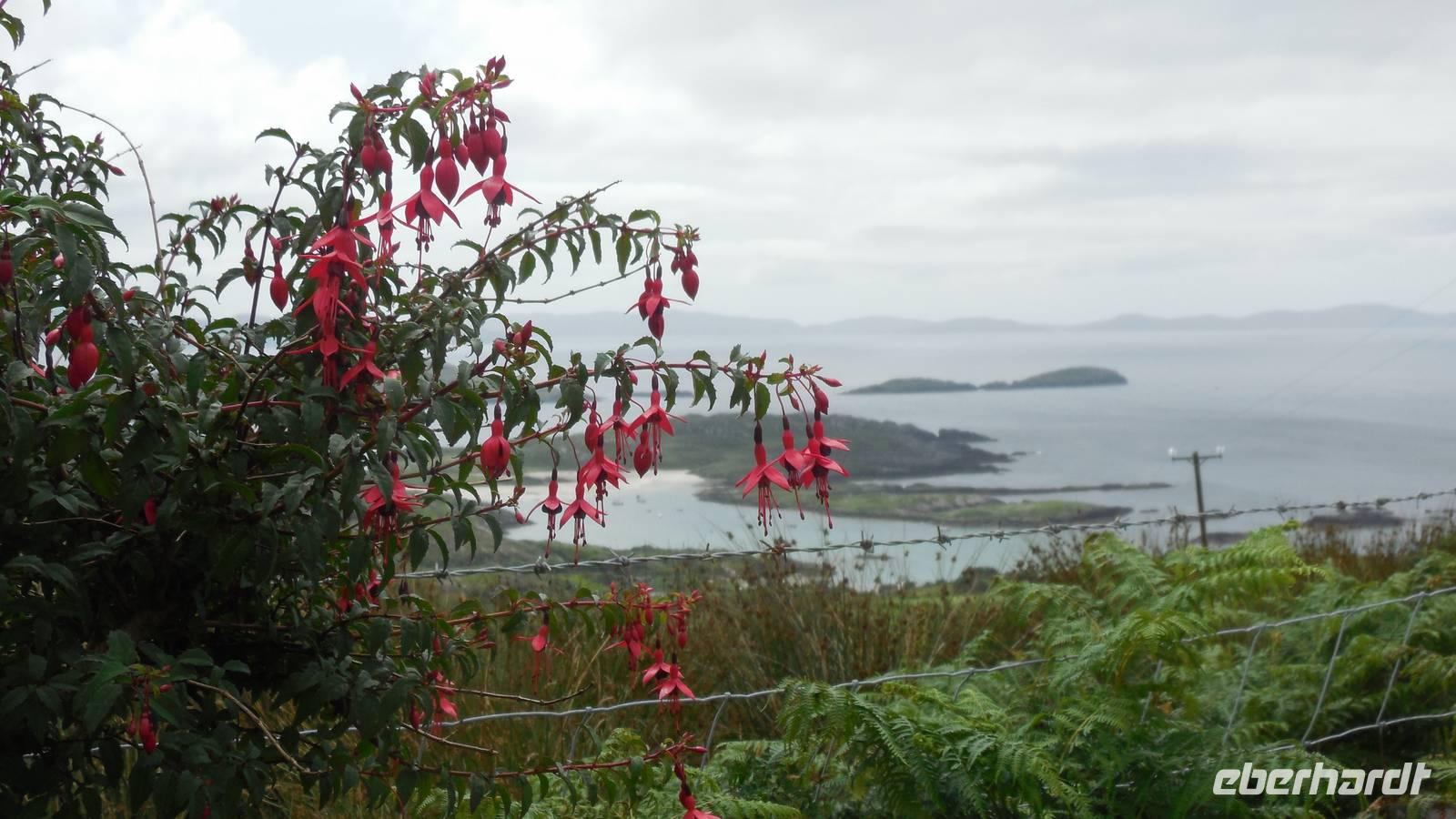 Ring of Kerry &ndash; &copy; Petra Sauer (Eberhardt TRAVEL)