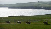 Downpatrick Head &ndash; &copy; Petra Sauer (Eberhardt TRAVEL)
