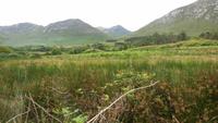 Connemara  &ndash; &copy; Petra Sauer (Eberhardt TRAVEL)