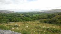 Burren  &ndash; &copy; Petra Sauer (Eberhardt TRAVEL)