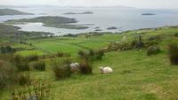 Ring of Kerry &ndash; &copy; Petra Sauer (Eberhardt TRAVEL)