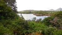 Garinish Island  &ndash; &copy; Petra Sauer (Eberhardt TRAVEL)