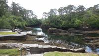 Glengarriff &ndash; &copy; Petra Sauer (Eberhardt TRAVEL)