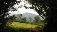 Muckross Traditional Farms &ndash; &copy; Petra Sauer (Eberhardt TRAVEL)