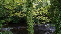 Ballina - Twin Trees Hotel &ndash; &copy; Petra Sauer (Eberhardt TRAVEL)