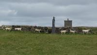 Downpatrick Head &ndash; &copy; Petra Sauer (Eberhardt TRAVEL)