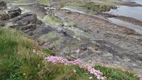 Downpatrick Head &ndash; &copy; Petra Sauer (Eberhardt TRAVEL)