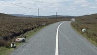Mayo &ndash; &copy; Petra Sauer (Eberhardt TRAVEL)