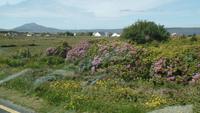 Achill &ndash; &copy; Petra Sauer (Eberhardt TRAVEL)
